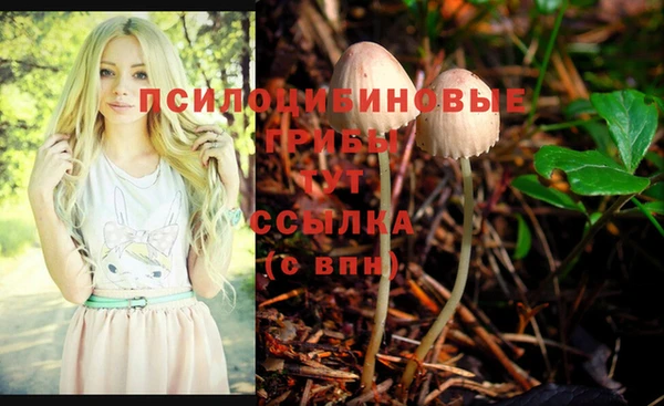 каннабис Медвежьегорск